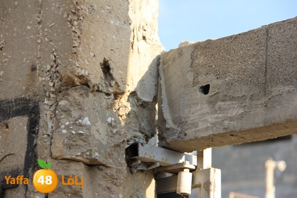 sakis family ard 826 (5).JPG